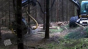 Incredible Tree Cutting Machine | Loggers