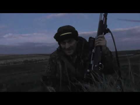 Alpex LRF 4K Moorland Fox Control Protecting Ground Nesting Birds.