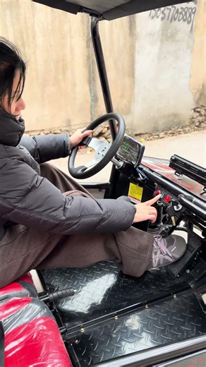 1000W 60V 20Ah powerful electric go kart with two seat, off road buggy,adult four wheel kart #gokart