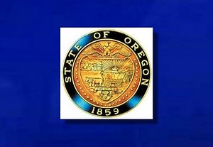 Audit: Delays possible in accessing safety net programs