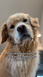 I’m offended | Benny & Remy