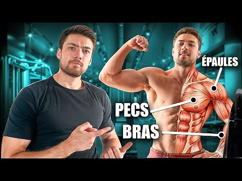 Le MEILLEUR exercice pour chaque MUSCLE - Version Poids du Corps