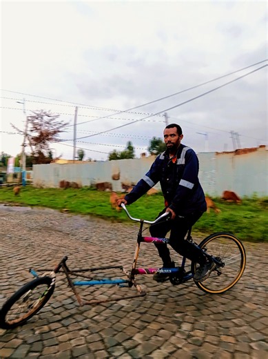 Eshe2 pedal bike