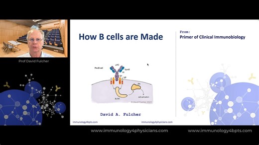 11_How B cells are made_2025