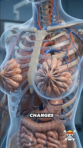 Why Do Women Get Breast Tenderness Before Their Period? | 3D Medical Animation