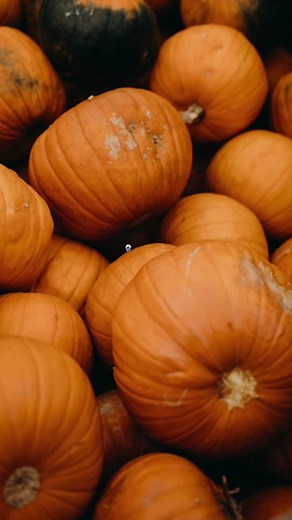 Puppet SunSun Anime: Dynamic Wallpaper, Memes, and More!