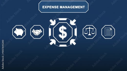 Payroll financial technology automation with expense management for online salary management, employee compensation and digital business finance concept.