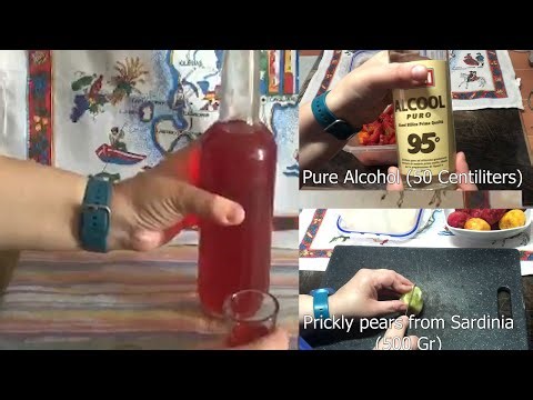 Homemade Prickly Pear Liqueur. An excellent Digestive and with a very good Flavor