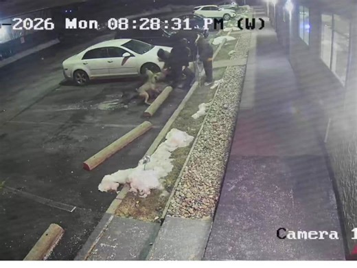 See video of Secaucus dog attack outside Red Roof Inn