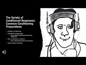 Basic Principles of Classical Conditioning