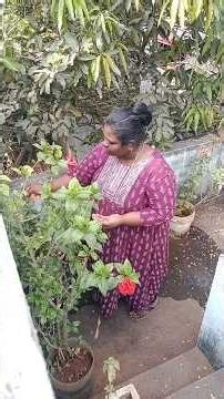 minivlog 🌺 #788 night dinner idli with coconut chutney #minivlog #dailyvlog #routinevlog #cooking