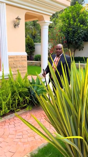 Bespoke Landscaping Services | Cityscapes Services | Facebook