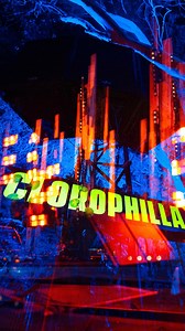 Lose yourself in Clorophilla.🍃 | CLOROPHILLA CLUB