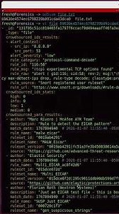 Scan Files with VirusTotal Using Linux Command Line #coding #virus #linux