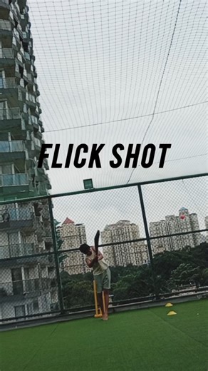 Cleanest Cricket Shots Ever! power and precision #cricketshorts #viralshorts