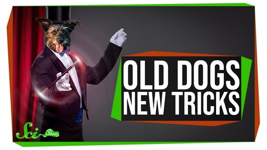 Can old dogs learn new tricks?