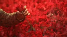 Dominique Moisan - Un million de roses rouges (Naif flowers version)