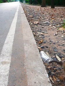 4.8K views · 83 reactions | Lovely monkey Sara ! | Hi Monkeys | Facebook