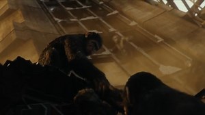 Koba : Simio no asesina simio. César : Tú no ser simio. Película: El planeta de los simios: Confrontación (2014) E.U. | Frases de Cine