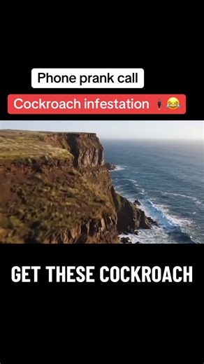 Prank call : cockroach infestation | Crazy prank call
