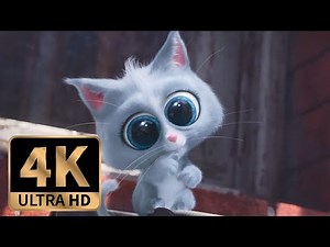 The Secret Life of Pets (2016) - Max and Duke Vs Cats (2/10)