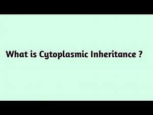 What is Cytoplasmic Inheritance ?
