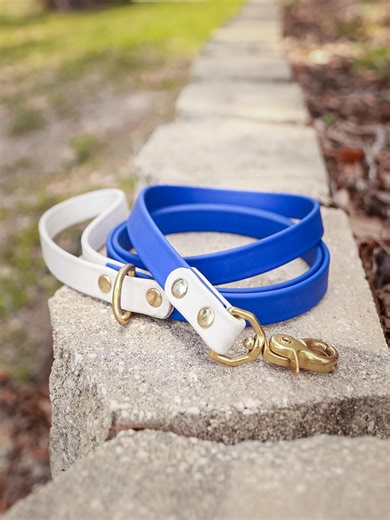 3/4" Two-tone Biothane Dog Leash: Durable, Waterproof Adventure Lead - Etsy