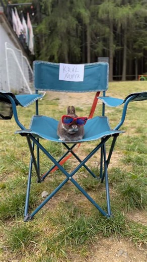 Tary Camp on Instagram: "Tary Camp je zpět! Zaregistruj se a splň si vánoční přání. 🎁⭐"