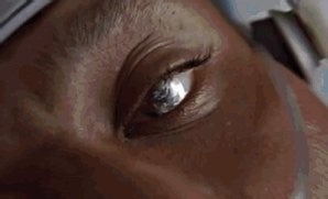 RT @francis_gif: that one vc in the discord server where there's only two people and they're both screensharing