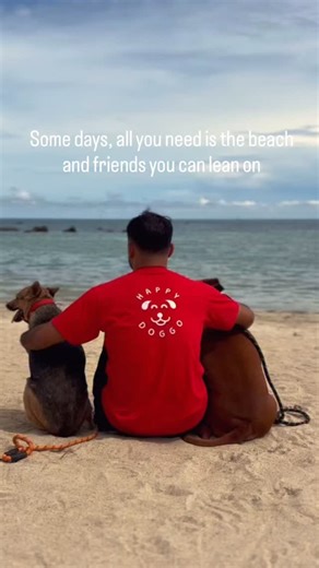 Hank the Tank can seem quite imposing when you meet him. He’s a big boy with a huge head and he loves nothing more than to barrel towards you at full speed… But he’s also a protector. He cares for the dogs who need it most, helping build up their confidence and making sure they know he has their back… Dogs like little Chance who was so scared when we met her that she sat facing a wall for days. Chance is still nervous in new places but she knows with Hank at her side, a good view in front of her