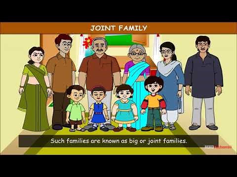 Families Can Be Different | My Family | EVS | Class 3