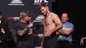 It's nearly time for fights! | TheMacLife.com