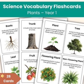 Year 1 Science Vocabulary Flashcards | Plants | KS1 Printable