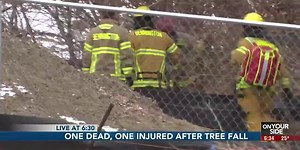 Douglas County Sheriff identifies victim in tree-cutting death