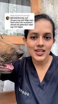 Why your dogs nose turning in to pink
