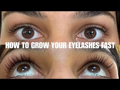 HOW TO GROW YOUR EYELASHES FAST | DIY EYELASH GROWTH SERUM