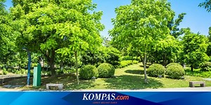 Manfaat Eco Enzyme untuk Kesehatan dan Lingkungan