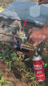 Acid burns to clean bee germs one last time before entering the farm. | Phary BeeKeeper