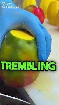 When The Magic Finally Found Its Way Back Home