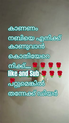 കാണുവാൻ കൊതിയേറെനിക്ക് #malayalam #lovesongs #viral video#viral shots