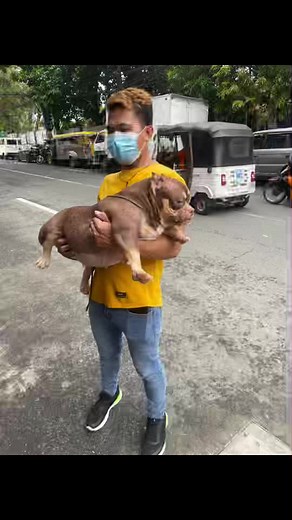 pawsitive 👌👌👌