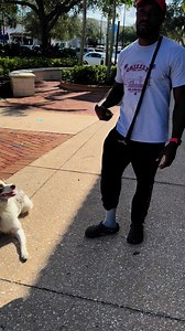 1.3K views · 42 reactions | More Work to do | Stan Smith | Facebook