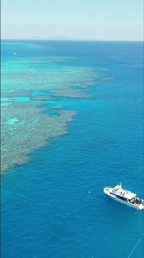 Great Barrier Reef: Boat's Edge! Ocean's Mysteries Await!