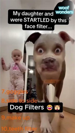 Top 10 Dogs With Hilarious Filters 😂 | You’ll Lose It at #1 #funny #viralshorts #viral