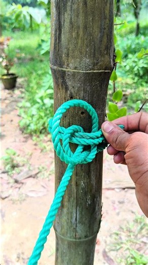 Constrictor Knot – Stronger Than You Think! 🔥