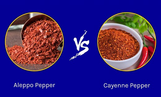 Aleppo Pepper vs Cayenne: What is the Difference?