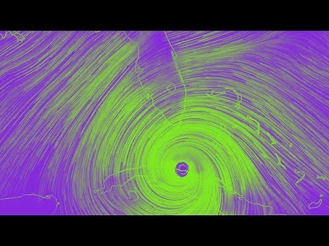 Hurricane Irma Tribute