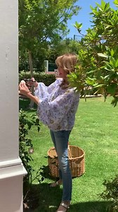 Garden update: always pruning 🤣 https://www.instagram.com/p/CQMDEC7jCMe/ | Jaclyn Smith