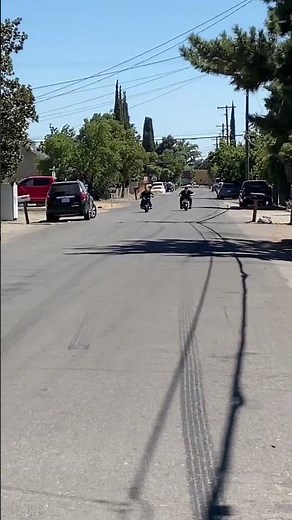Ghost 212 mini bike vs predator 212 minibike drag race