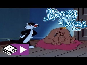Sylvester & Tweety | Otel Odası | Boomerang